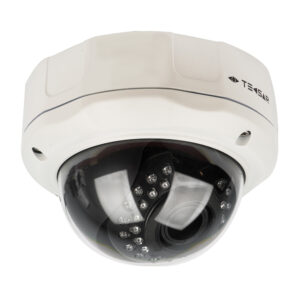 IP-відеокамера Tecsar IPD-M20-V30-poe Tecsar 2235