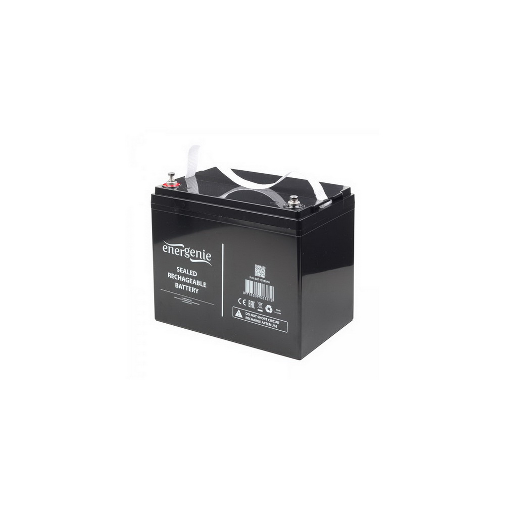 Акумуляторна батарея EnerGenie 12V 80Ah (BAT-12V80AH) EnerGenie 3046