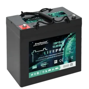 Акумулятор EverExceed LDP12-60 (12.8V60Ah)