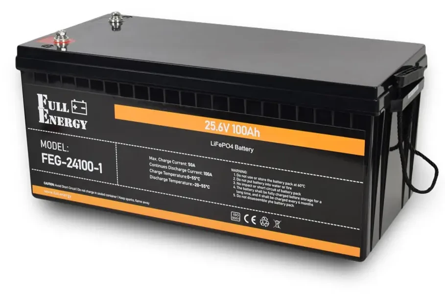Акумулятор Full Energy FEG-24100-1 LiFePO4 Black (301438)