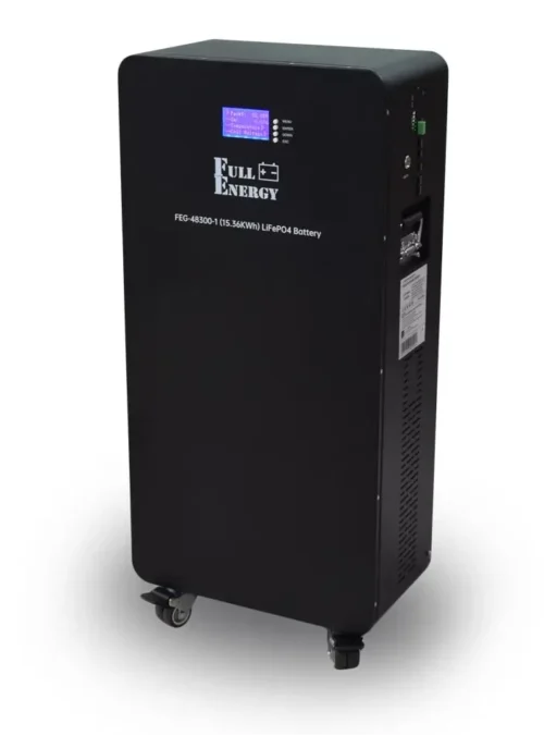 Акумулятор Full Energy FEG-48300-1 LiFePO4 Black (301440)