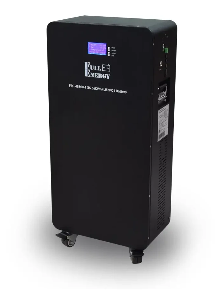 Акумулятор Full Energy FEG-48300-1 LiFePO4 Black (301440)