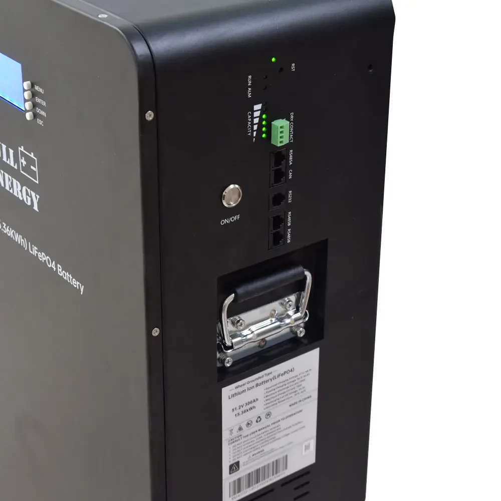 Акумулятор Full Energy FEG-48300-1 LiFePO4 Black (301440)