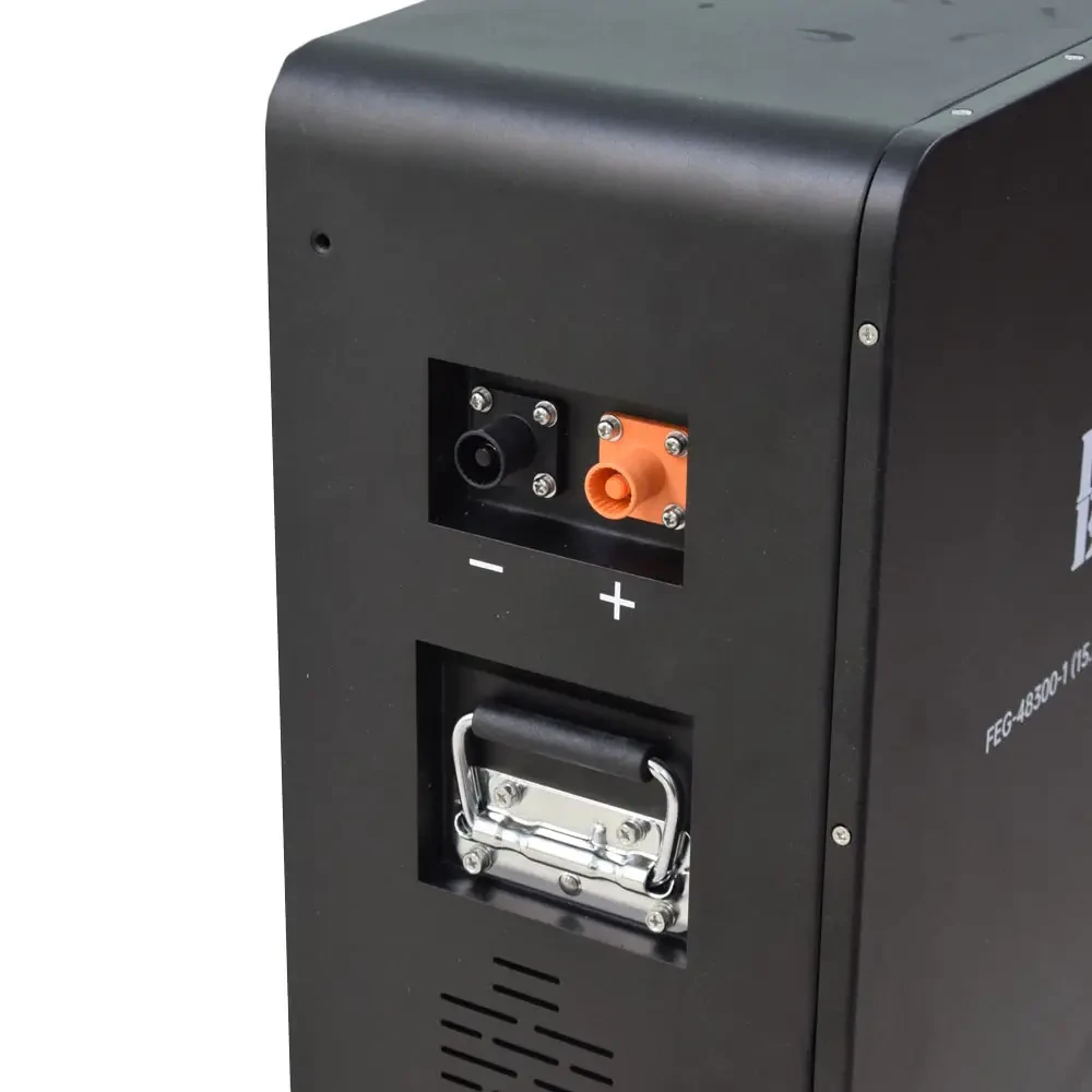 Акумулятор Full Energy FEG-48300-1 LiFePO4 Black (301440)