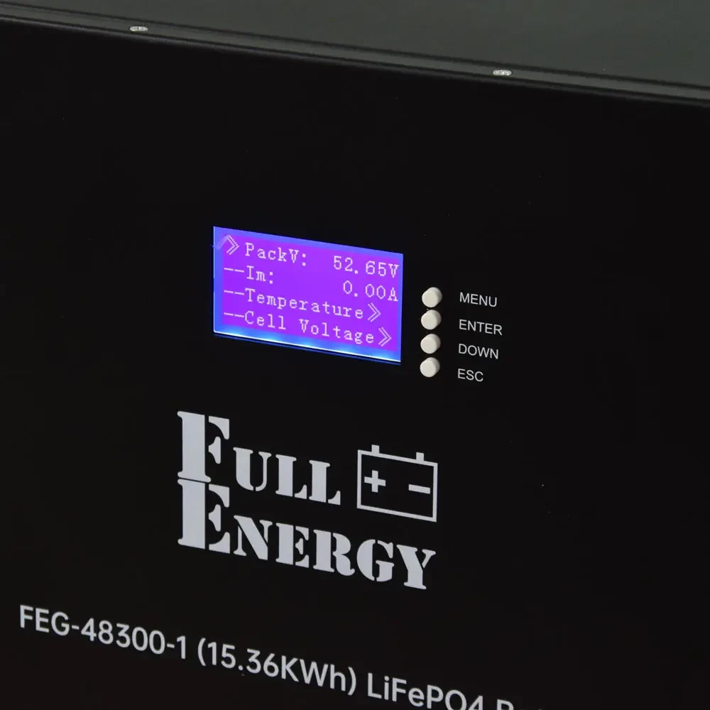 Акумулятор Full Energy FEG-48300-1 LiFePO4 Black (301440)